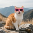 thumbnail image 4 of Pet Glasses Cat Sunglasses Sun Goggles with Adjustable Straps for Outdoor Activities and Driving, 4 of 8