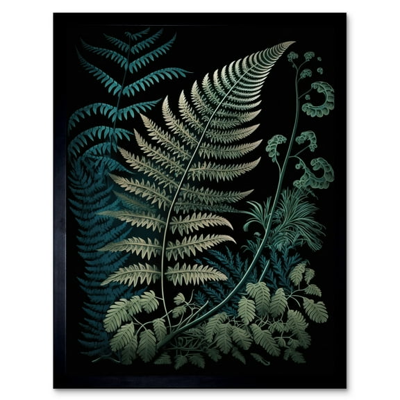 Detailed Fern Frond Species Botanical Illustration Art Print Framed Poster Wall Decor 12x16 inch
