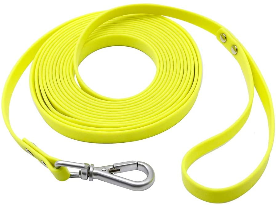 waterproof dog leash for beach