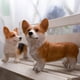 thumbnail image 1 of Estatua de Perro de Resina Jadeshay Corgi Linda y Vívida, 1 of 5