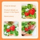 thumbnail image 4 of Pegatinas de Pared de Ratán con Diseño Rústico de Fresas y Flores, Autoadhesivas, para Sala de Estar, Cocina y Dormitorio, 4 of 5