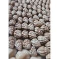 thumbnail image 1 of Ahgly Company Indoor Rectangle Patterned Dark Brown Novelty Area Rugs, 3' x 5', 1 of 6
