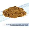 thumbnail image 3 of Aqueon Nutrinsect Tropical Flakes [Aquarium Tropical Fish Food, Aquarium Supplies] 1.59 oz, 3 of 4
