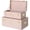 Pink, variant on CHOCSTAY Set of 2 Decorative Metal Trunks, Storage Chests & Boxes with Lock Hole and Handle, 23.8X14.2X9.5 Inches (White)