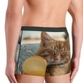 thumbnail image 5 of Balery Relaxing Cat With Orange Juice Men's Boxer Briefs, Soft and Breathable Cotton Underwear with nylon Waistband-XX-Large, 5 of 9