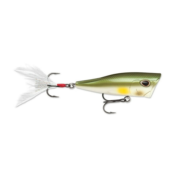 Arashi Cover Pop Hard Bait Lure