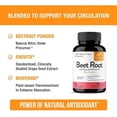 thumbnail image 3 of SANDHUS Beet Root | raíz de remolacha | 60 CAPSULAS, 3 of 4