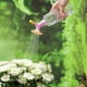 thumbnail image 3 of Bottle Cap Sprinkler, Double Head Bottle Watering Spout, Watering Can Sprinkler Head For Indoor Seedlings Plant, Garden Tool, 3 of 4
