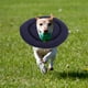 thumbnail image 5 of Collar de recuperación para mascotas, cono isabelino suave para perros después de una cirugía, cono protector cómodo para perros y gatos, evita que se laman y muerdan, 5 of 7