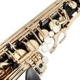 thumbnail image 5 of Glarry Adult Eb Alto Saxophone Kit w/ 11 Reeds Case Accessories for Student, 5 of 8