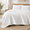 Arctic White-Queen, variant on Basil Green Queen Size Quilt Bedding Set Lightweight All Season Bedspread
