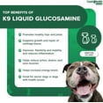 thumbnail image 6 of LIQUIDHEALTH K9 Glucosamine for Dogs Hip & Joint Juice Liquid Vitamin, 32 Fl. Oz, 6 of 7