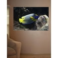 thumbnail image 2 of Wallhogs Reef Angel Wall Mural, 2 of 2