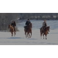 thumbnail image 3 of Desperate Riders (DVD) Lionsgate, 3 of 3