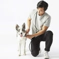 thumbnail image 5 of Fable - Magic Dog Leash ®, 5 of 10