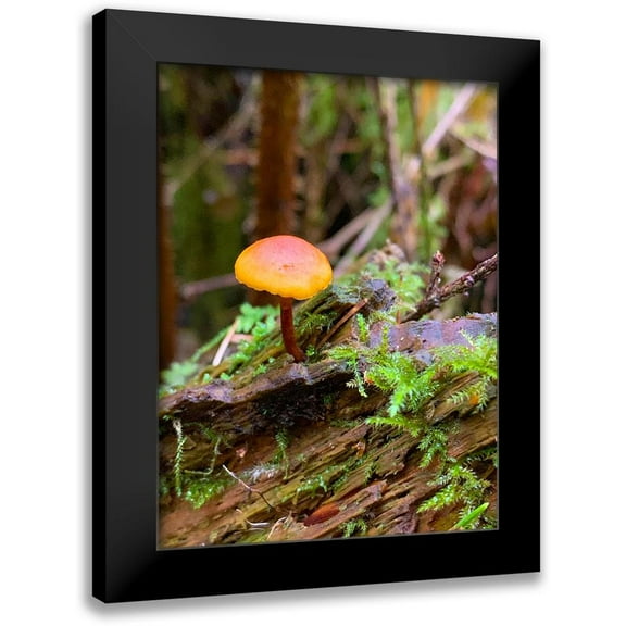 Grayscale 12x14 Black Modern Framed Museum Art Print Titled - Tiny Mushroom I