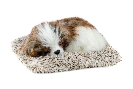 petzzz dog