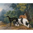 thumbnail image 2 of Sawrey Gilpin 24x20 Gold Ornate Framed and Double Matted Museum Art Print Titled - Two Greyhounds and a Mastif Belonging to the Duke of Hamilton (1780), 2 of 4