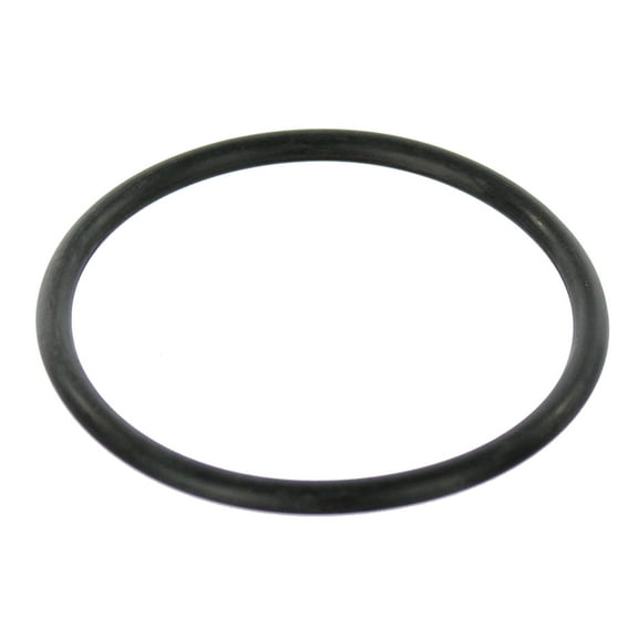 Agility Auto Parts 4060086 Fuel Pump Tank Seal for Volkswagen Specific Models