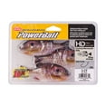 thumbnail image 5 of Berkley PowerBait Gilly 110 Fishing Soft Bait HD Bluegill, 5 of 9