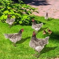thumbnail image 4 of WHAMVOX 3Ud De Gallina De Acrílico Para Jardín Con Doble Y Duradera Para Exterior, 4 of 8