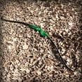 thumbnail image 6 of Black Hunter Archery Takedown Recurve Bow 60" Right Hand Hunting Bow Set with Arm Guard Finger Guard Bow Stringer Fur Pad Arrow Rest  20-60 lbs（60lbs）, 6 of 8