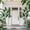 7 Ft, variant on 1/2 Pack Artificial Bird of Paradise Plant 6/7FT Fake Palm Tree for Indoor Outdoor Modern Decor Faux Plants for Home Office Perfect Housewarming Gift with Trunks Faux Leaves