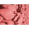 thumbnail image 1 of Ahgly Company Machine Washable Indoor Rectangle Transitional Red Area Rugs, 5' x 7', 1 of 7