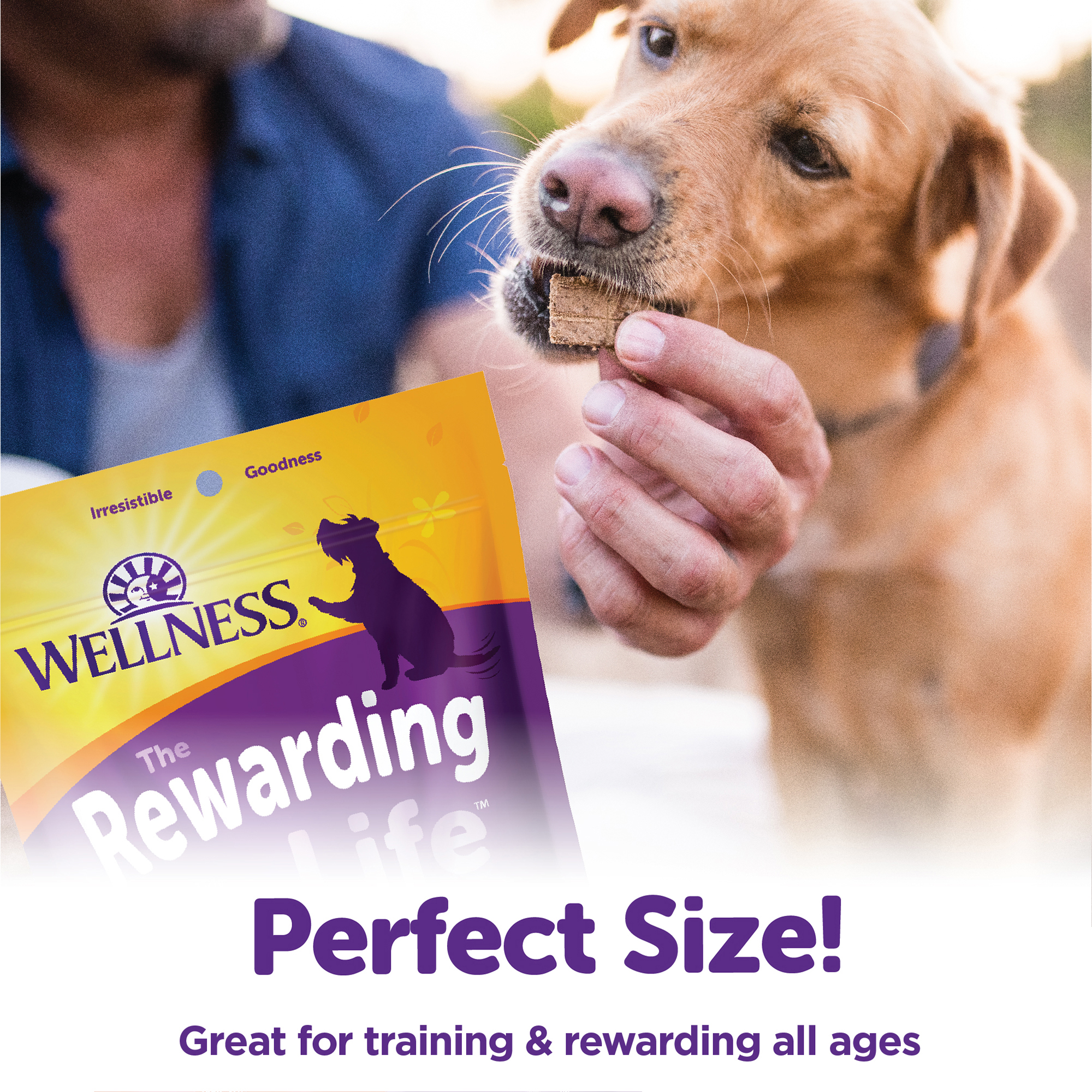 Wellness Rewarding Life Soft & Chewy Dog Treats, Grain Free, Beef & Turkey, 6 Ounce Bag - image 2 of 10