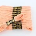 thumbnail image 2 of DMC Cotton Embroidery Floss 6-Strand 8m – Pink, 2 of 3