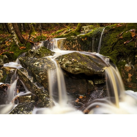 Small waterfall in the woods in autumn Bedford Nova Scotia Canada Poster Print by Irwin Barrett  Design