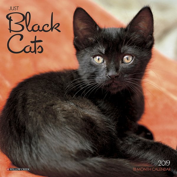 Black Cats 2019 Calendar - Walmart.com - Walmart.com Black Cats 2019 Calendar - Walmart.com - Walmart.com