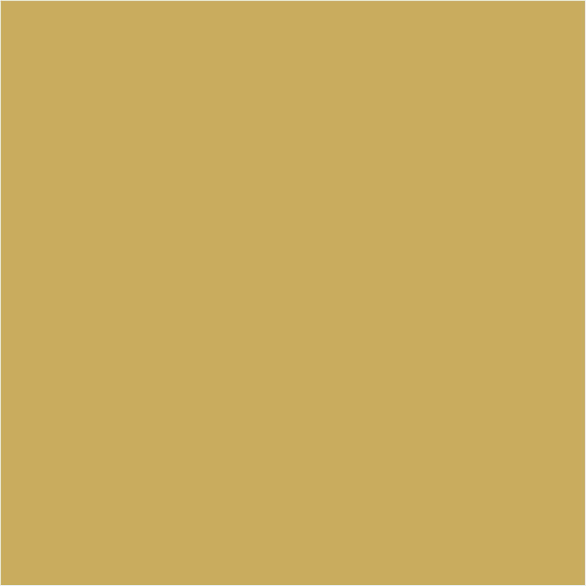 KILZ Complete Coat Paint & Primer, Interior/Exterior, Satin, Summer Chartreuse, 8 Ounces