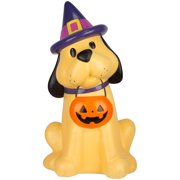 1.9ft. LED Witch Dog Blow Mold by Ashland-Halloween Decorations for Home