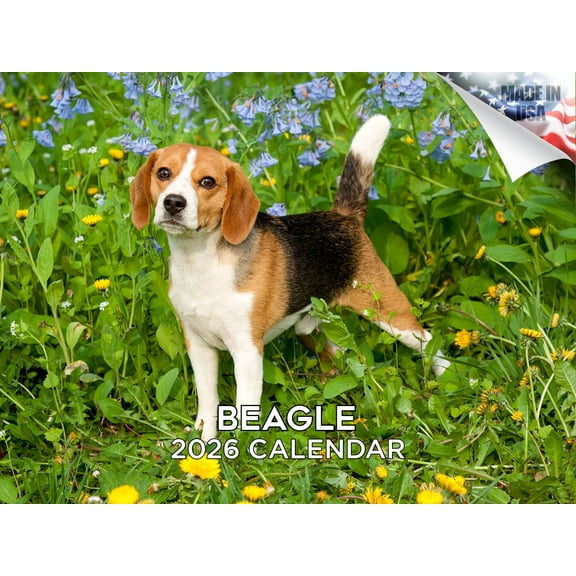 2025 2026 Beagle Calendar - Dog Breed Monthly Wall Calendar - 12 x 18 Open - Thick No-Bleed Paper - Giftable - Made in USA