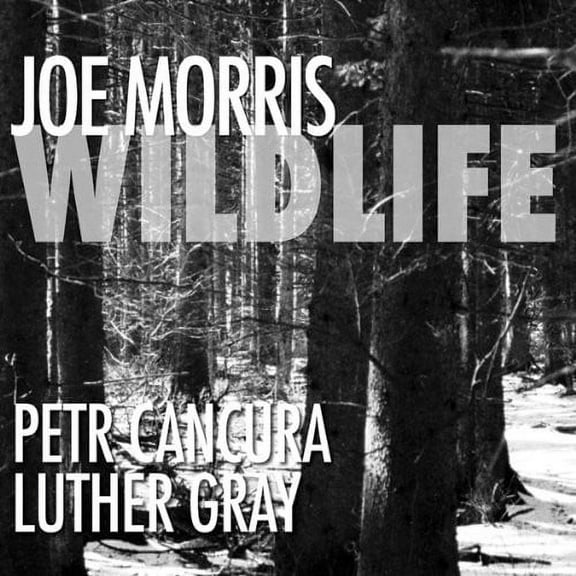 Joe Morris - Wildlife - Jazz - CD