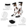 thumbnail image 3 of Lsque Pedigree dogs collage Printed Men's Crew Socks, Soft Durable Breathable Moisture-Wicking with Odor Control Cotton socks, 3 of 6