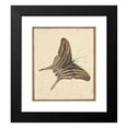 thumbnail image 2 of Nicolaas Struyk 20x22 Black Modern Framed Museum Art Print Titled - A Butterfly (Early 18th-Mid 18th Century), 2 of 5