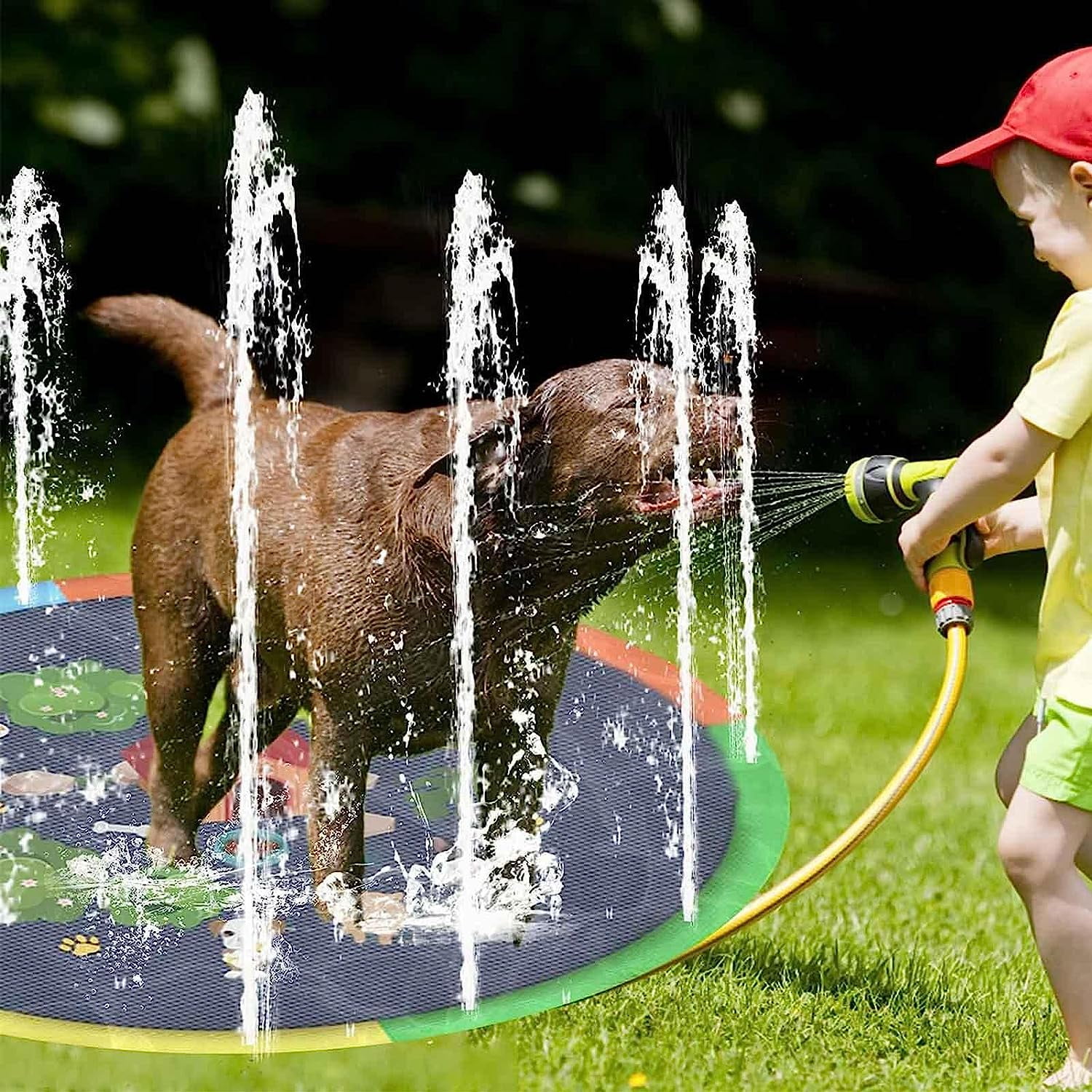 Dog friendly splash pad deals