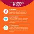 OLLY Laser Focus Gummy, Ginseng, Alpha GPC, B Vitamin, Supplement