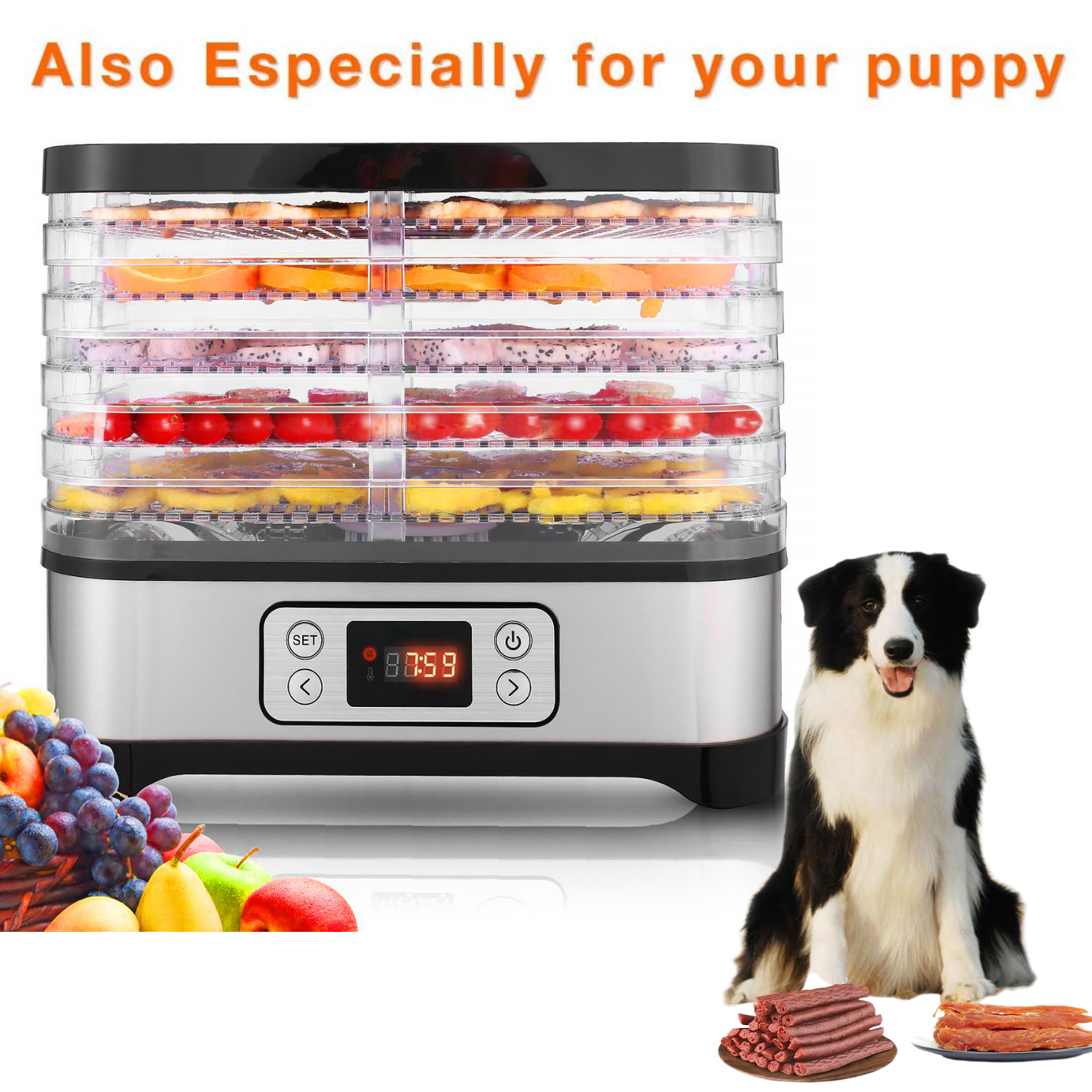 Zz Pro Commercial Stainless Steel Electric Food Dehydrator Machine, Meat or  Beef Maker, Fruit Dryer with 10 Trays, 155 Degree Fahrenheit, Jerky Safe