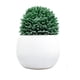 thumbnail image 3 of planta artificial decorativa con maceta blanca de cerámica, 3 of 5