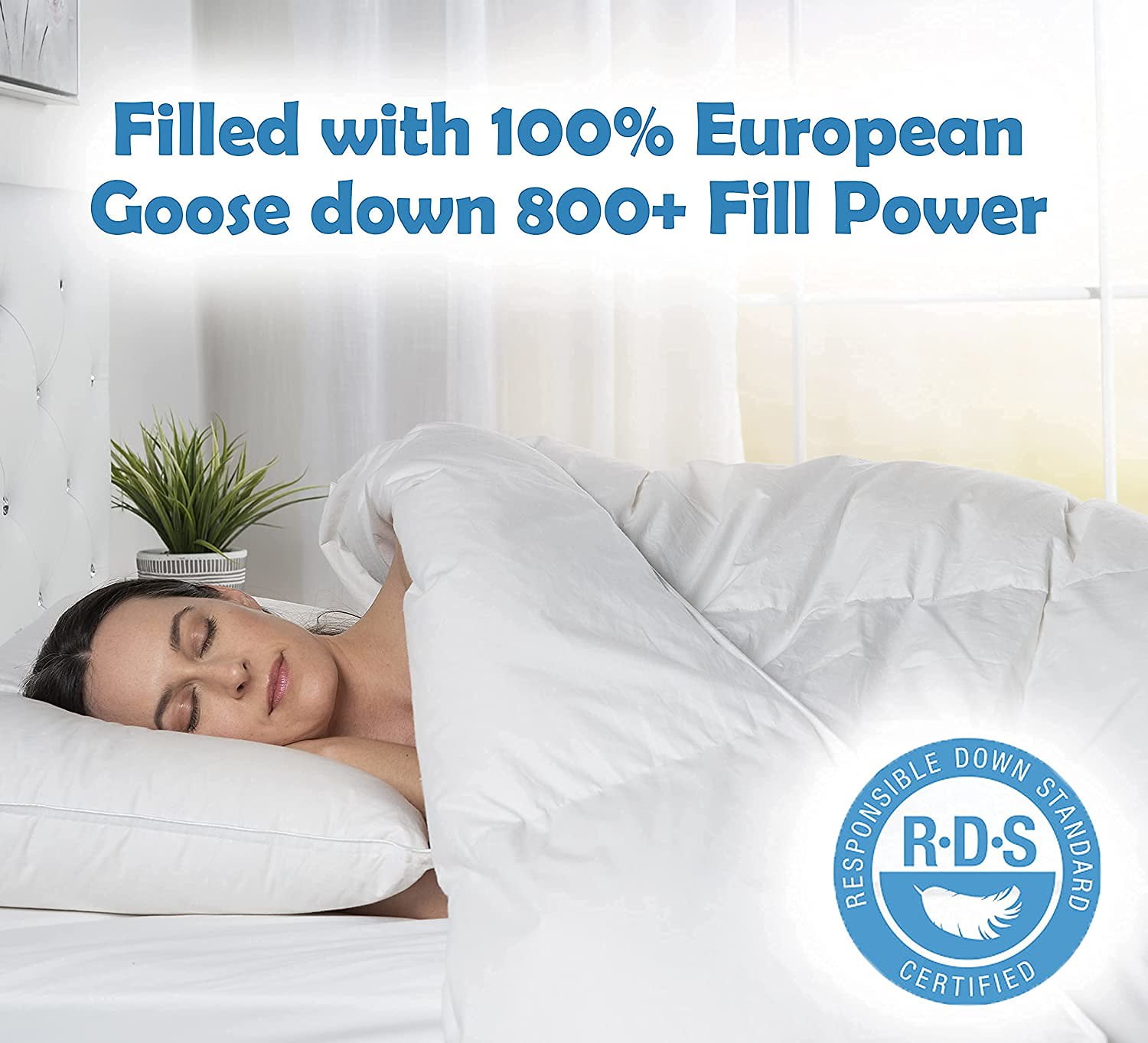 (Standard) East coast bedding 100% White Down Pillow 100% Cotton Fabric 550 Fill Power Set of (Standard) 並行輸入品