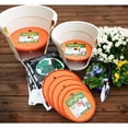 thumbnail image 4 of Bloem Square Ups-A-Daisy Planter Filler- 12 Pack, 4 of 5