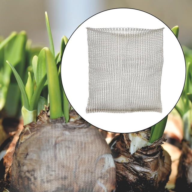 Cestas raíces de material acero inoxidable, bolsa de malla tejida, de cest alambre para plantas, protección para verduras y bayas 12x6 pulgadas CUTICAT Cesta de protección de raíces