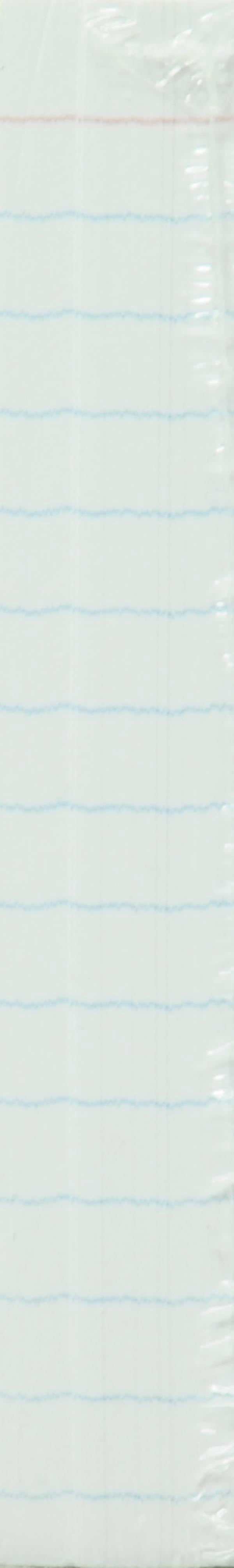 D3 Casemate Index Card 4x6 Ruled 100ct