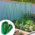 thumbnail image 3 of Garden Climbing Net Vegetables Cucumber Net Plant Trellis Support Loofah Morning Glory Flower Vine Netting Garden Accessories그물망, 3 of 10