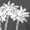 Gray, variant on Ankishi Mens Hawaiian T Shirt Palm Tree Short Sleeve Crewneck Summer Fashion Tropical Cotton Tee Shirt for Vacation
