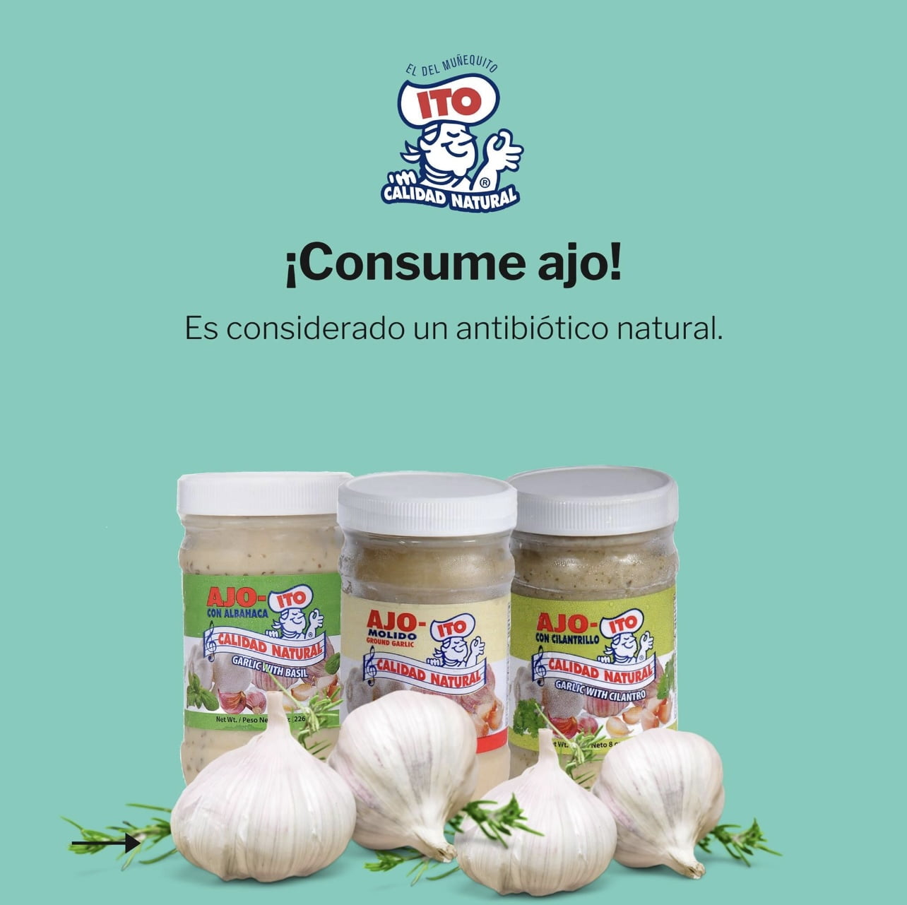 Ito El Munequito Adobo Garlic Paste Squeeze Bottle, 12oz Individual Pack 100% Natural