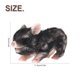 thumbnail image 2 of Muyoka Pig Doll Mini realista Siline Black Piglet BPA-free Cute Siline Animals Fake Piglet Reborn para niños adultos regalo Muyoka Hogar, 2 of 7